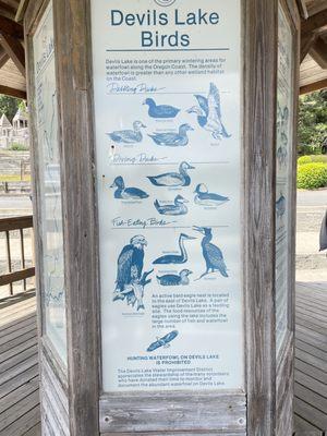Information posted about the wildlife you may see