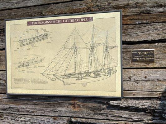 Lottie Cooper Shipwreck