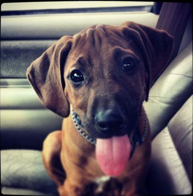 Allied Foundation Repair