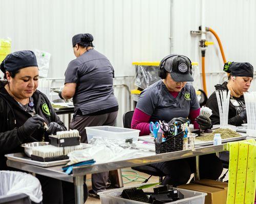 Pecos Valley Production