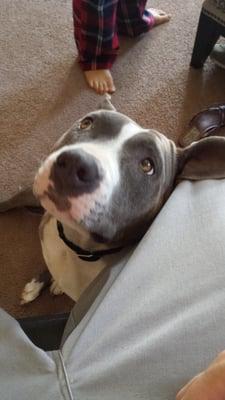 Legend Animal Rescue