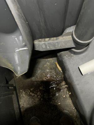 Gilbert Environmental