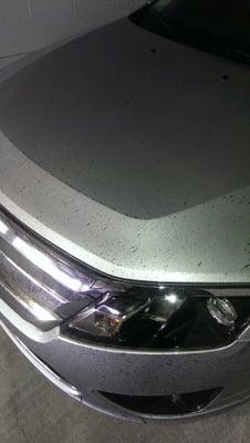 oil on car from Cabana Coaches bus, Miami, Florida