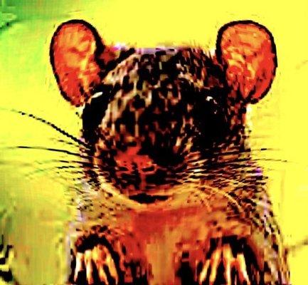 My barber every time I go, still had the indecency to charge me 30 dollars.