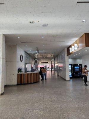 City County Building Observation Deck