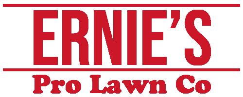 Our logo is simple... just like using our services!