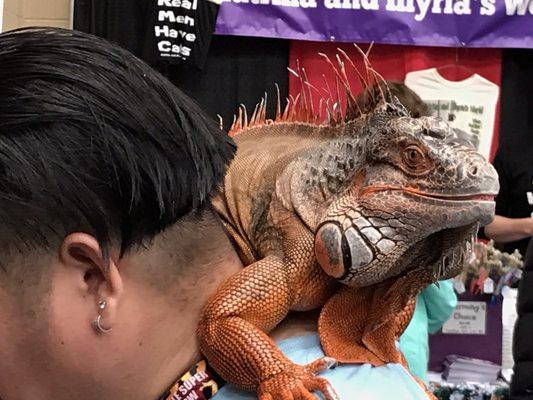 Amazing Pet Expo San Diego