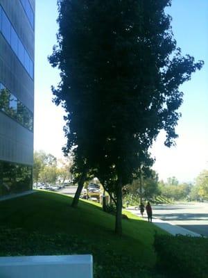 The drive along Corporate Center Drive in front of the office at our Monterey Park Regional Office.