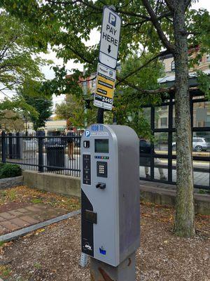 You're parking up the wrong tree