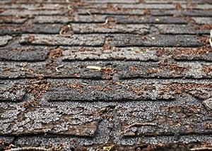STA-DRY Roofing