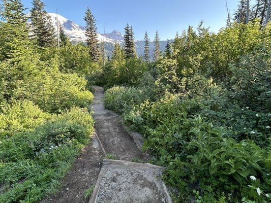Bench and Snow Lake Trail