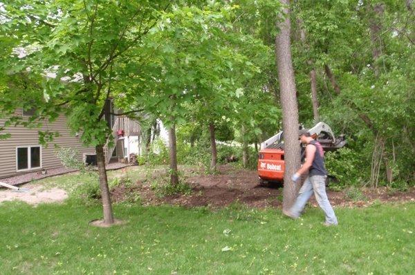 Olson's Tree Service