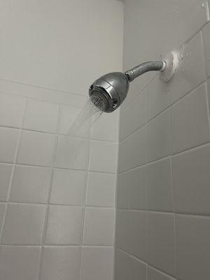 The horrible water pressure you will have if you move here!