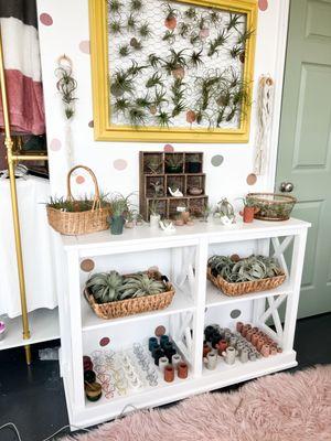 Plants In A Farmhouse