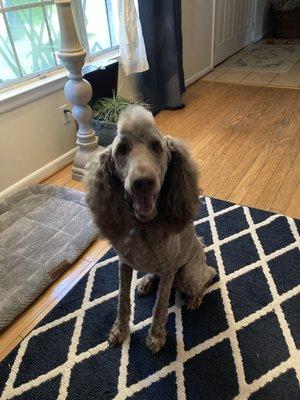 Mason's Place Grooming by Jennifer