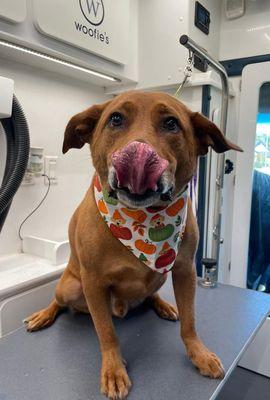 Woofie's of North Fresno