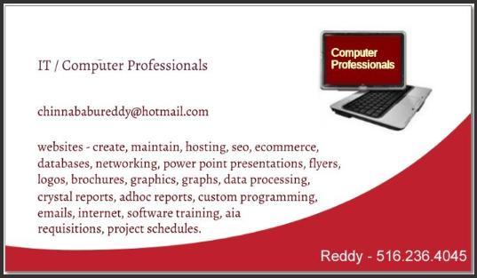 Computer Professionals