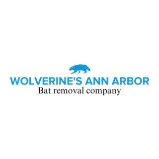 Wolverine's Ann Arbor Bat Removal Company