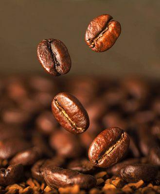 Latitude 23.5 Coffee & Tea