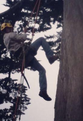 Pro2col Tree Trimming