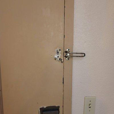 Door security panel