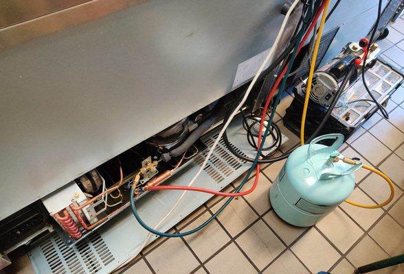 Sub Zero Wolf Refrigerator Repair