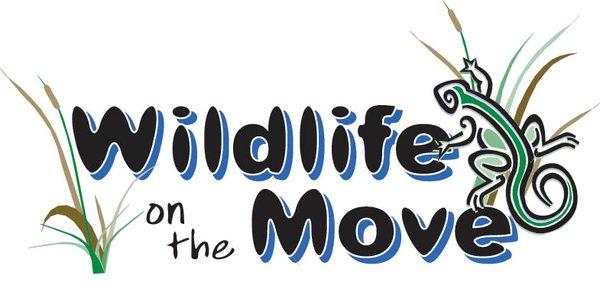 Wildlife On The Move