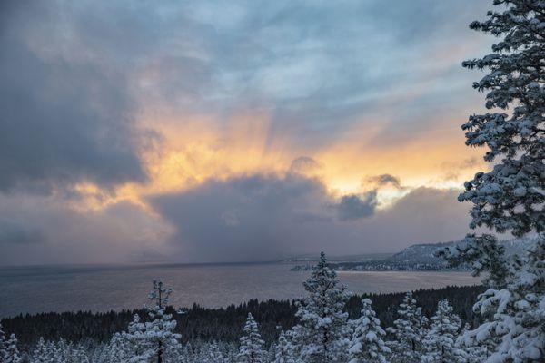 Oak Tree Wealth Management