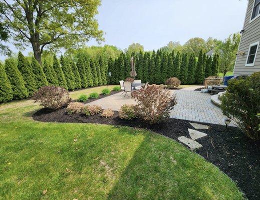 All Pro Professional Services