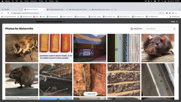 Extra Sure Termite & Pest Control