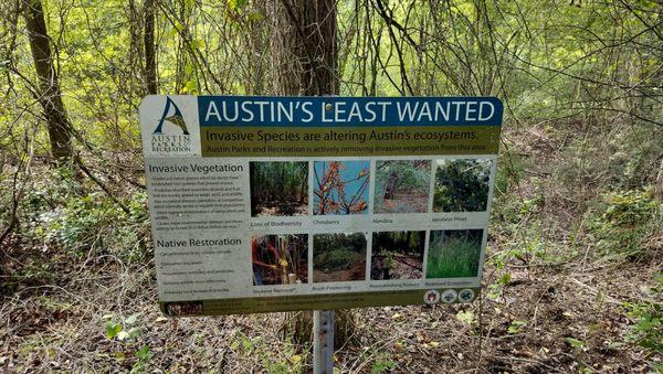 Blunn Creek Greenbelt
