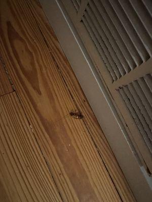 Silver Sands Vacation Rentals