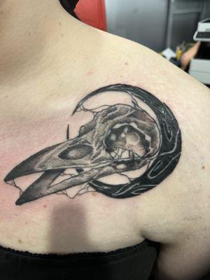 Black and grey raven skull
