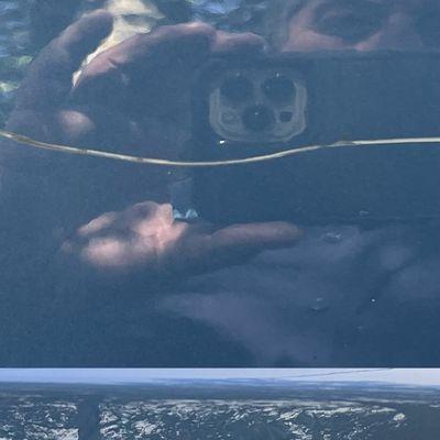 Sharkey's Auto Detailing