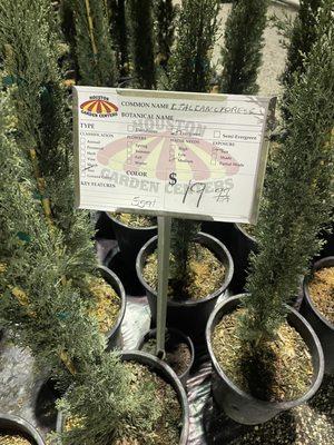 Houston Garden Centers