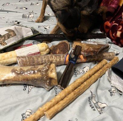 Oak Park Natural Pet and Fish