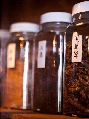 Sierra Acupuncture & Healing Arts