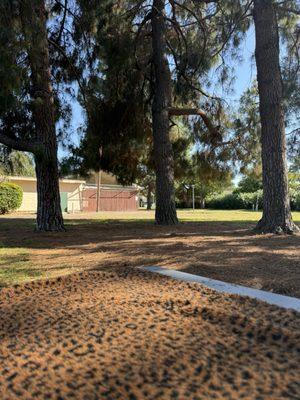 Mary Gomez Park & Pool