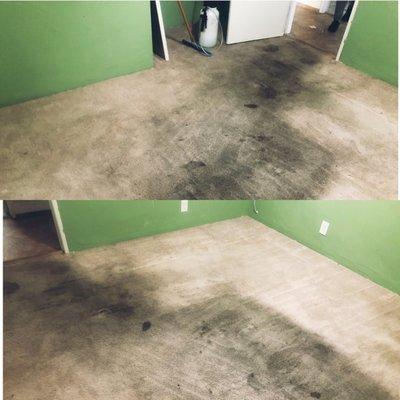 Oxi Fresh Carpet Cleaning