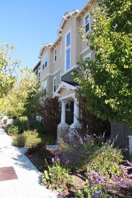 Distinct Property Management