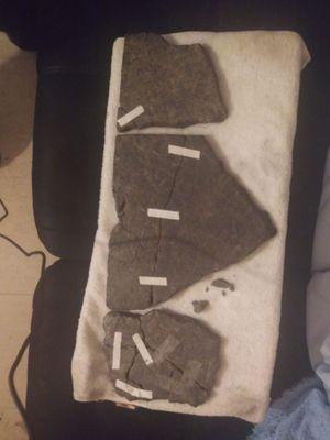 I have some one to be look att adam and Eve