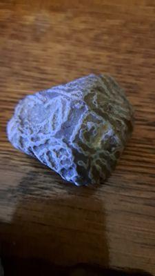 Merlin's Treasure Trove