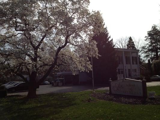 Elite School of Cosmetology