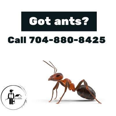 A Better Way Pest Control