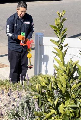 Rooter Old School Plumbing