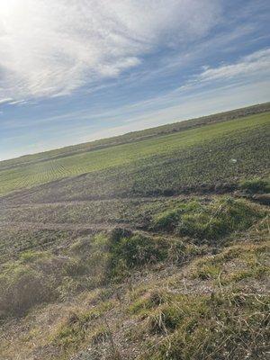 Take Ten Tire & Service