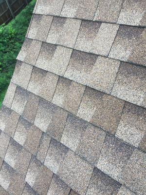 Eastern Seaboard Roofing