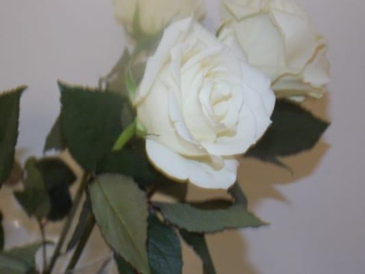 Blessed & Blissful Designs and Events