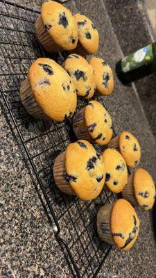 Sourdough by Krystal