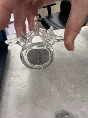 Disc Spine Sport and Stem cell